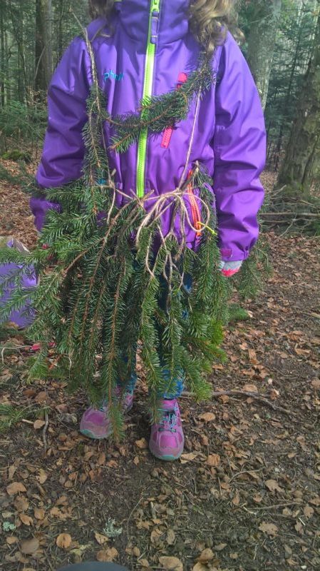 WP_20170324_15_02_25_Pro