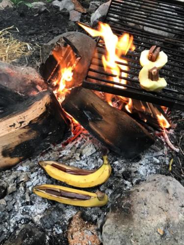 IMG-20190911-WA0005-1