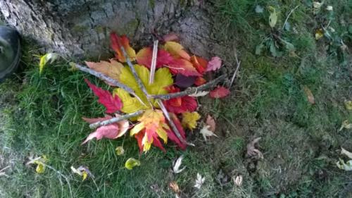 WP_20161019_007